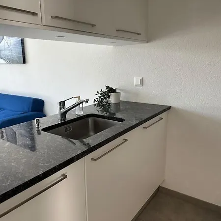 Joli Espace Avec Vue Sur Le * ローザンヌ
