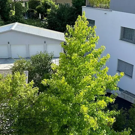 Joli Espace Avec Vue Sur Le